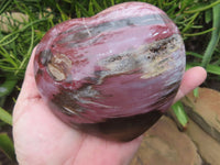 Polished Petrified Red Podocarpus Wood Hearts  x 2 From Madagascar - Toprock Gemstones and Minerals 