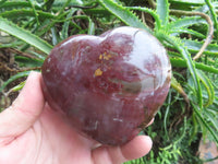 Polished Petrified Red Podocarpus Wood Hearts  x 2 From Madagascar - Toprock Gemstones and Minerals 