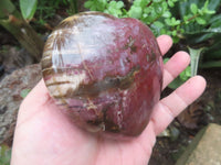 Polished Petrified Red Podocarpus Wood Hearts  x 2 From Madagascar - Toprock Gemstones and Minerals 