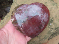 Polished Petrified Red Podocarpus Wood Hearts  x 2 From Madagascar - Toprock Gemstones and Minerals 