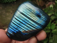 Polished Flashy Labradorite Standing Free Forms  x 6 From Tulear, Madagascar - TopRock