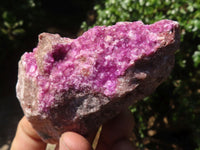 Natural Pink Salrose Cobaltion Dolomite Specimens  x 6 From Kakanda, Congo - TopRock