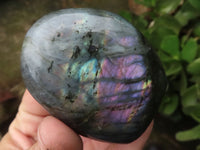 Polished Flashy Labradorite Standing Free Forms  x 6 From Tulear, Madagascar - TopRock