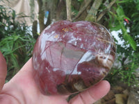 Polished Petrified Red Podocarpus Wood Hearts  x 2 From Madagascar - Toprock Gemstones and Minerals 