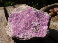 Natural Pink Salrose Cobaltion Dolomite Specimens  x 6 From Kakanda, Congo - TopRock