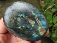 Polished Flashy Labradorite Standing Free Forms  x 6 From Tulear, Madagascar - TopRock