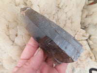 Natural Large Morion Smokey Quartz Crystals  x 6 From Mulanje, Malawi - Toprock Gemstones and Minerals 