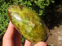 Polished Green Opal Standing Free Forms  x 5 From Madagascar - Toprock Gemstones and Minerals 