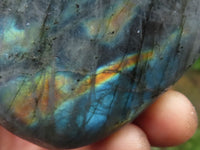 Polished Flashy Labradorite Standing Free Forms  x 6 From Tulear, Madagascar - TopRock