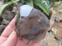 Natural Large Morion Smokey Quartz Crystals  x 6 From Mulanje, Malawi - Toprock Gemstones and Minerals 