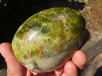 Polished Green Opal Standing Free Forms  x 5 From Madagascar - Toprock Gemstones and Minerals 