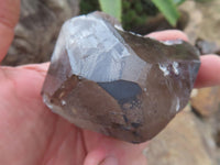 Natural Large Morion Smokey Quartz Crystals  x 6 From Mulanje, Malawi - Toprock Gemstones and Minerals 