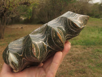 Polished Large Orbicular Ocean Jasper Flame With Crystalline Vugs  x 1 From Madagascar - TopRock