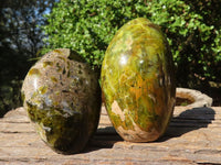 Polished Green Opal Standing Free Forms  x 5 From Madagascar - Toprock Gemstones and Minerals 