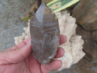 Natural Large Morion Smokey Quartz Crystals  x 6 From Mulanje, Malawi - Toprock Gemstones and Minerals 