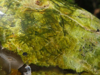 Polished Green Opal Standing Free Forms  x 5 From Madagascar - Toprock Gemstones and Minerals 