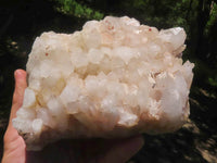 Natural White Quartz Clusters  x 2 From Madagascar - TopRock