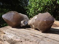 Polished Large Smokey Quartz Crystals  x 2 From Mulanje, Malawi - TopRock