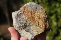 Natural Purple Stichtite With Green Serpentine (Atlantisite) Specimens  x 2 From Barberton, South Africa - TopRock