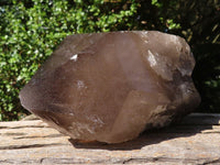 Polished Large Smokey Quartz Crystals  x 2 From Mulanje, Malawi - TopRock