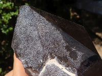 Polished Large Smokey Quartz Crystals  x 2 From Mulanje, Malawi - TopRock