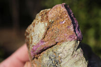 Natural Purple Stichtite With Green Serpentine (Atlantisite) Specimens  x 2 From Barberton, South Africa - TopRock