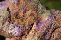 Natural Purple Stichtite With Green Serpentine (Atlantisite) Specimens  x 2 From Barberton, South Africa - TopRock