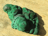 Natural Botryoidal Malachite Specimens  x 4 From Congo