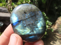 Polished Flashy Labradorite Palm Stones  x 12 From Tulear, Madagascar - TopRock