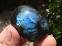 Polished Flashy Labradorite Palm Stones  x 12 From Tulear, Madagascar - TopRock