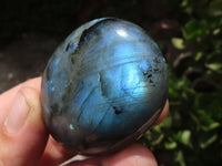 Polished Flashy Labradorite Palm Stones  x 12 From Tulear, Madagascar - TopRock