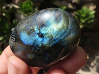 Polished Flashy Labradorite Palm Stones  x 12 From Tulear, Madagascar - TopRock