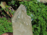 Polished Angolan Arcadian Quartz Crystals x 4 From Angola - TopRock