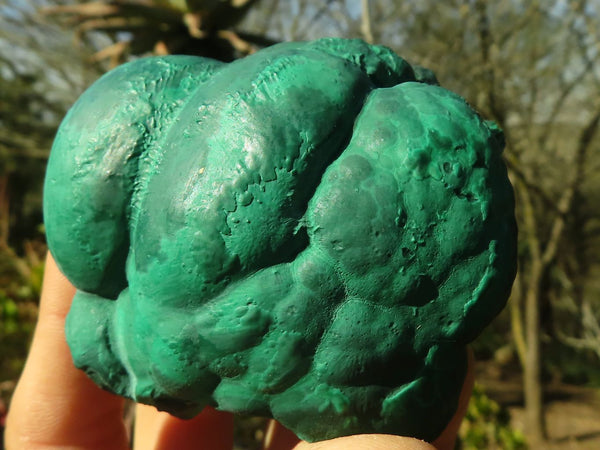 Natural Botryoidal Malachite Specimens  x 4 From Congo