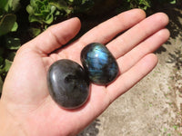 Polished Flashy Labradorite Palm Stones  x 12 From Tulear, Madagascar - TopRock