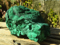 Natural Botryoidal Malachite Specimens  x 4 From Congo