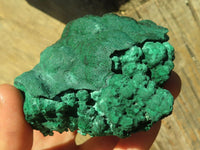 Natural Botryoidal Malachite Specimens  x 4 From Congo