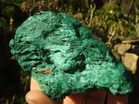 Natural Botryoidal Malachite Specimens  x 4 From Congo