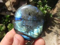 Polished Flashy Labradorite Palm Stones  x 12 From Tulear, Madagascar - TopRock