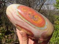 Polished Extra Large Polychrome Jasper Standing Free Form x 1 From Madagascar