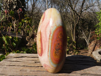 Polished Extra Large Polychrome Jasper Standing Free Form x 1 From Madagascar