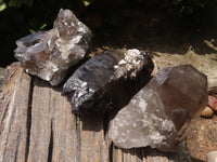 Natural Large Smokey Quartz Crystals  x 3 From Mulanje, Malawi - TopRock