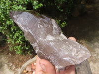 Natural Large Smokey Quartz Crystals  x 3 From Mulanje, Malawi - TopRock