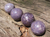 Polished Purple Lepidolite Mica Spheres  x 4 From Madagascar - TopRock