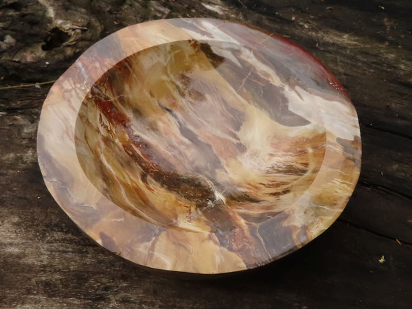 Polished Gorgeous Petrified Podocarpus Wood Bowl  x 1 From Mahajanga, Madagascar - TopRock