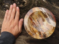 Polished Gorgeous Petrified Podocarpus Wood Bowl  x 1 From Mahajanga, Madagascar - TopRock