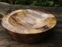 Polished Gorgeous Petrified Podocarpus Wood Bowl  x 1 From Mahajanga, Madagascar - TopRock