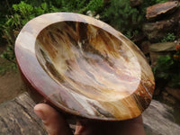 Polished Gorgeous Petrified Podocarpus Wood Bowl  x 1 From Mahajanga, Madagascar - TopRock