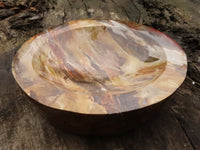 Polished Gorgeous Petrified Podocarpus Wood Bowl  x 1 From Mahajanga, Madagascar - TopRock