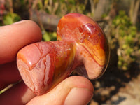 Polished Mini Polychrome / Picasso Jasper Mushrooms  x 35 From Madagascar